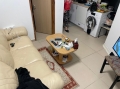 תמונה: 1
