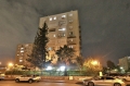 תמונה: 1